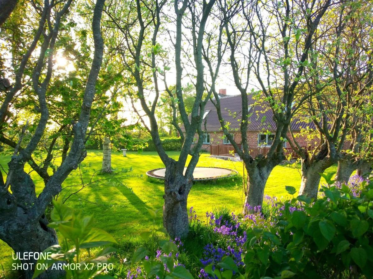 Lilleledgaard Country House 灵克宾 外观 照片