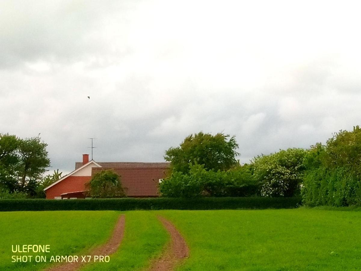 Lilleledgaard Country House 灵克宾 外观 照片